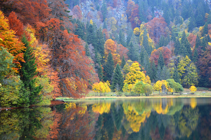 AUTUMN MULTI-COLOURED – October 30- November 1 : SPECIAL BIG TRIP : Black Forests AUTUMN MULTI-COLOURED – October 30- November 1 : SPECIAL BIG TRIP : Black Forests