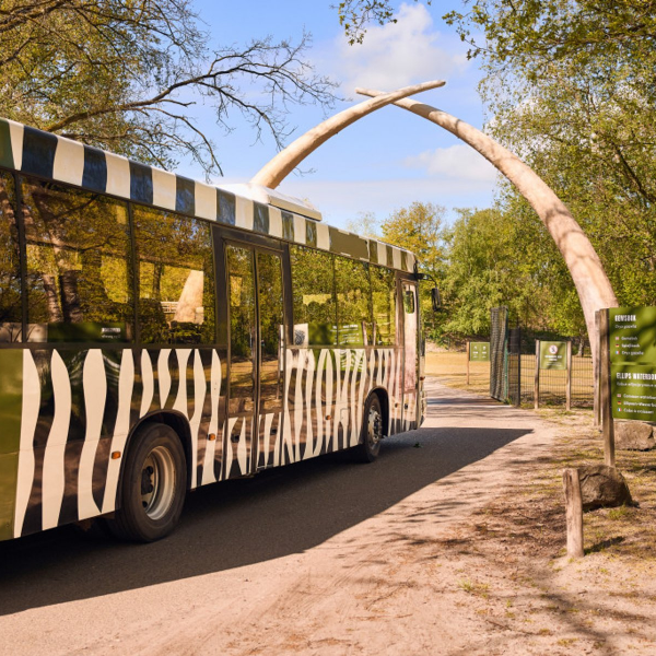 image_2022-09-07_174706143