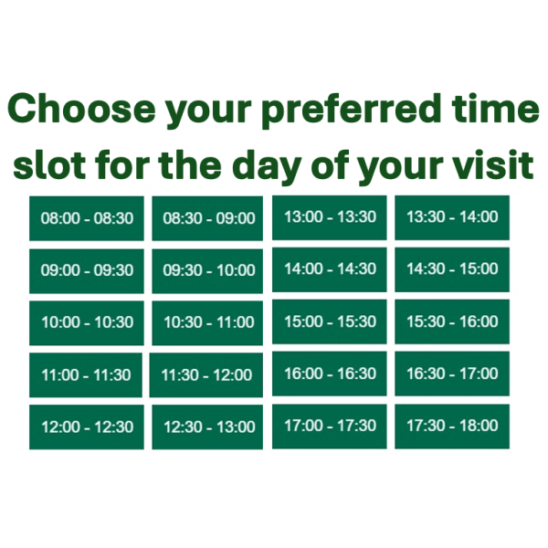 image_2025-04-08_230612028