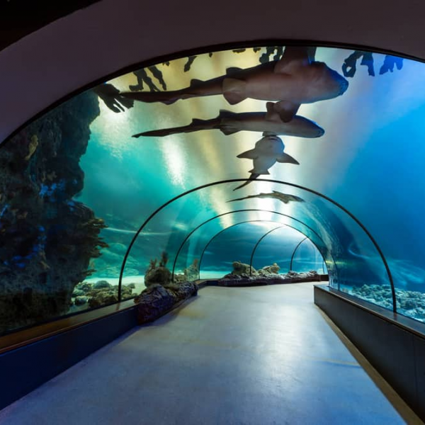 image_2022-12-05_163048529