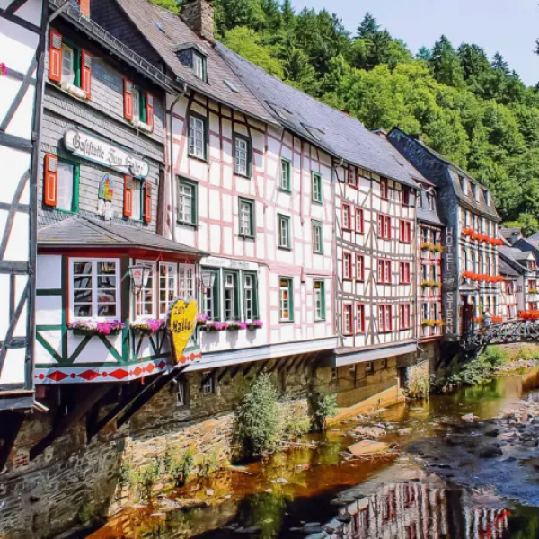 image_2023-11-28_190009852