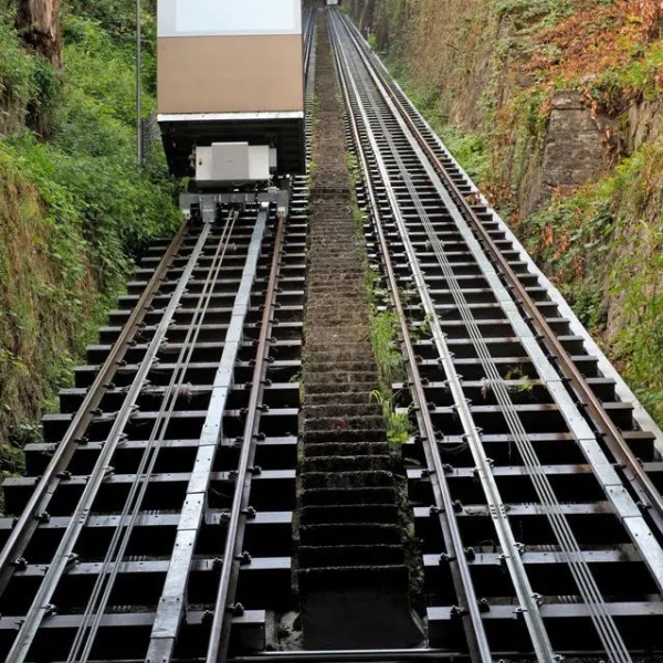 image_2024-03-05_175918610