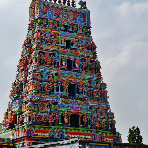 image_2024-03-18_191942739